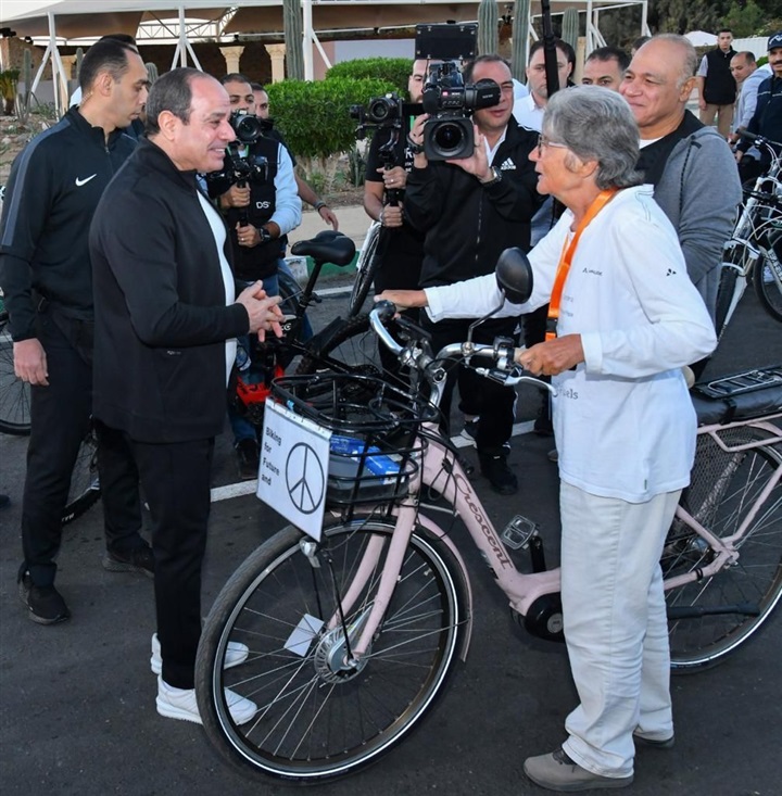 Eine schwedische Aktivistin hat 7.000 Kilometer mit dem Fahrrad gereist, um am Klimagipfel teilzunehmen