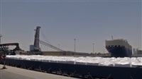 Der emiratische Rote