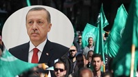 Terrorismus der Bruderschaft,