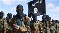 Der Export von ISIS